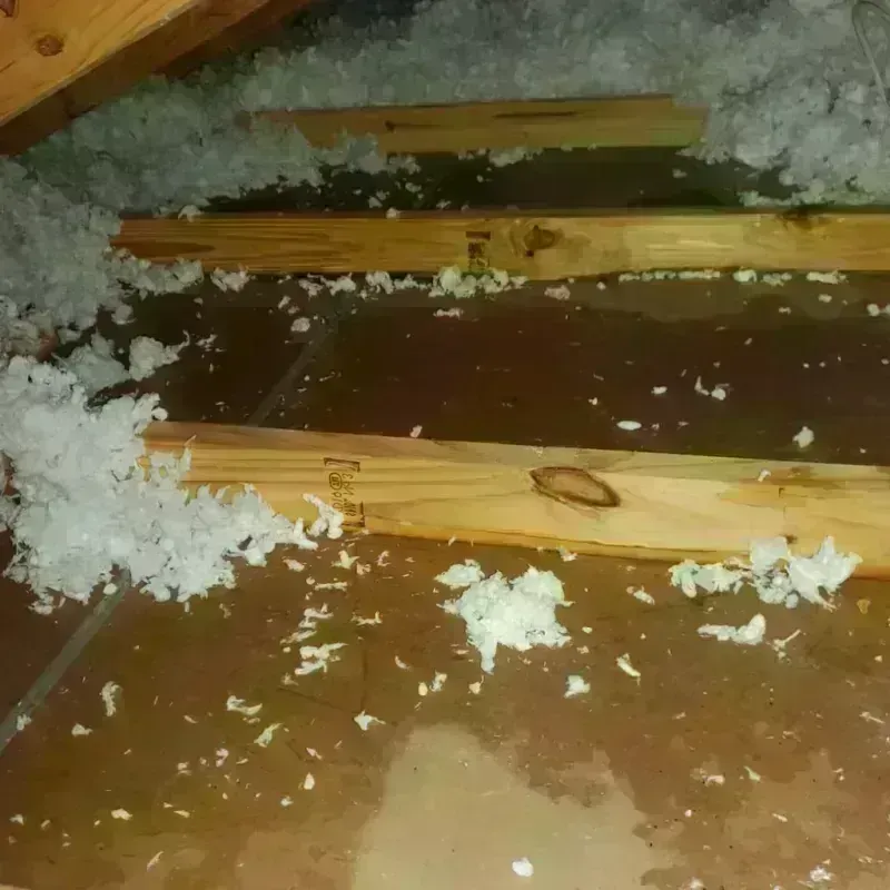 Attic Water Damage in Chattanooga, TN