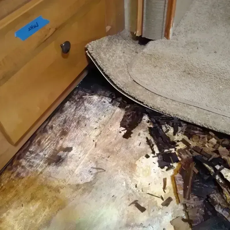 Wood Floor Water Damage in Chattanooga, TN